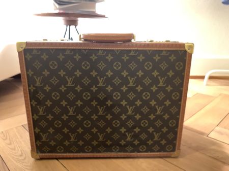 Louis Vuitton Koffer Hardcase Alzer
