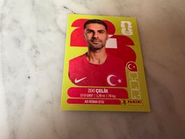 Panini FIFA  Fussball Sticker Zeki CelikTUR 4