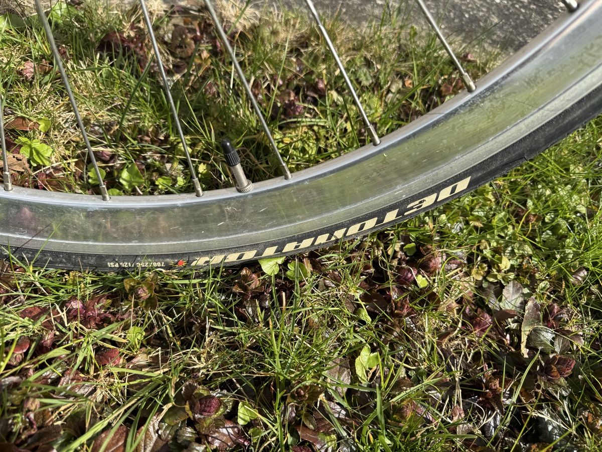 Canyon Velos: Canyon FXD Single Speed, Grösse L – Gebraucht aus Lufingen von steinijr 7