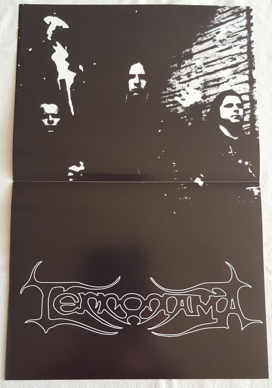Dischi in vinile: Terrorama - Horrid Efface - LP - 2004 - US First Press – Nuovo (secondo la descrizione) da Uster venduto da Zardodel 9