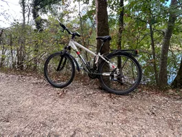 26 Zoll Bixs Lite 300  (Gr M)