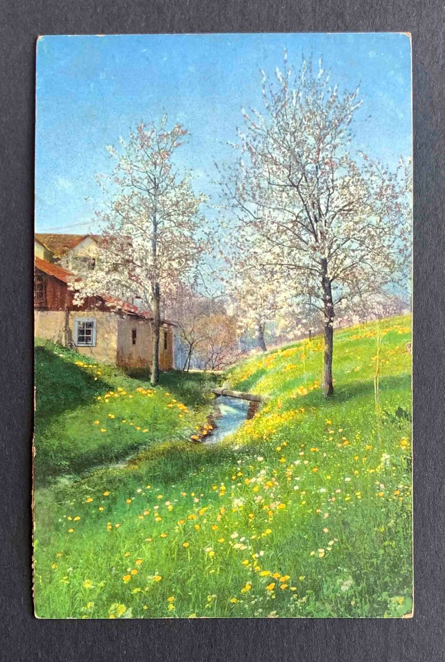 Cartoline postali: AK Maimorgen Serie 2 Gestempelt Alpnach – Usato da Goldau venduto da artelier1