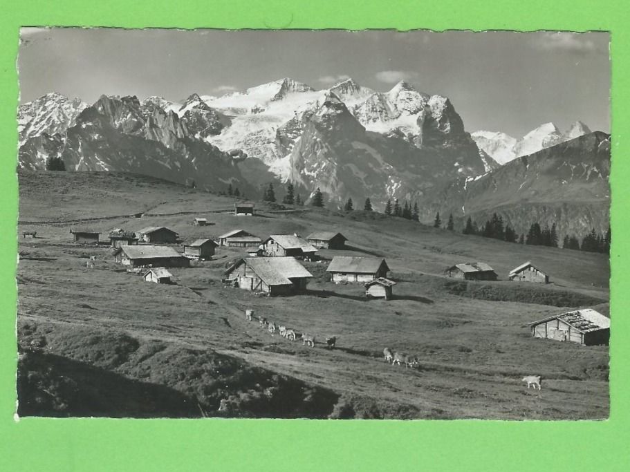 Cartoline postali: Hasliberg, Balisalp – Nuovo (secondo la descrizione) da Zürich venduto da t24_de