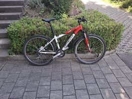 Fahrrad, Specialized