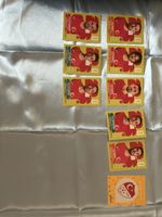 Türkei WM panini 2026