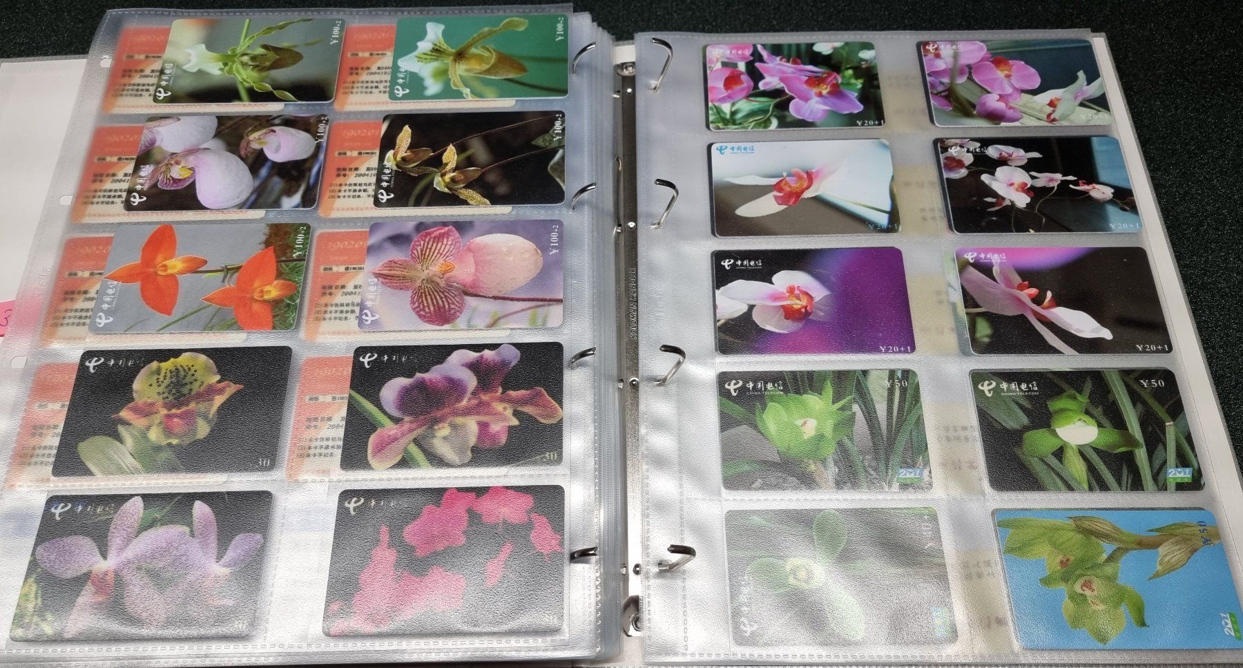 Album: Album 3 silber Telefonkarten Orchideen – Usato da Lostorf venduto da Dalbi 7