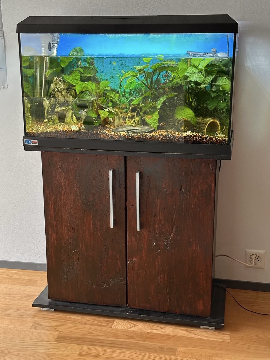 Aquarium: Aquarium complete Set with Cabinet and Filter – Gebraucht aus Wädenswil von puh_n8wy
