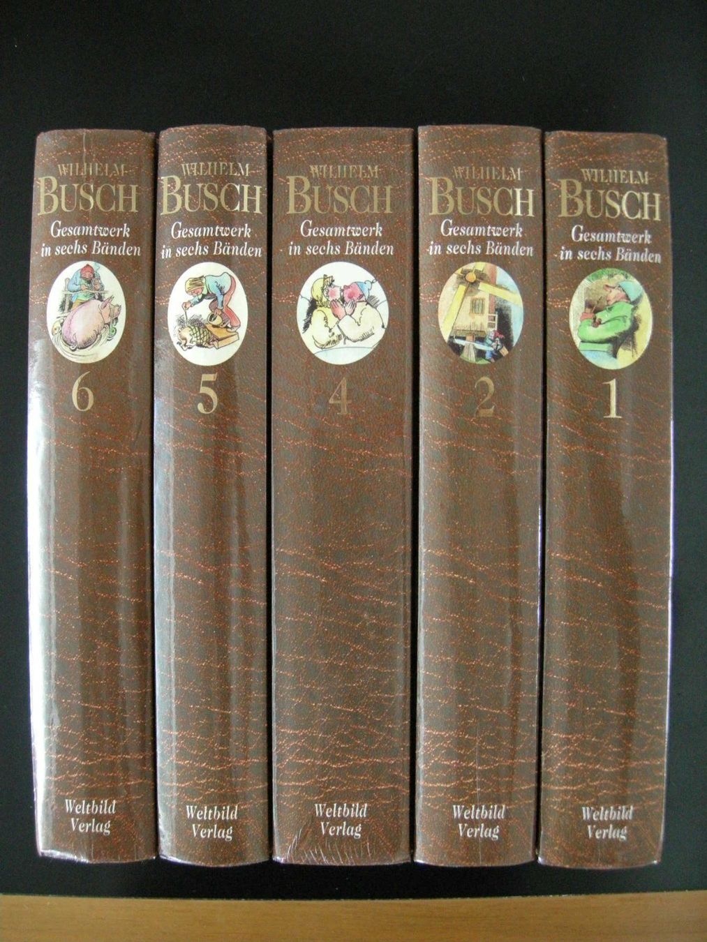 Libri: Wilhelm Busch: Werke in 5 Bändern – Usato da Dietikon venduto da Klopfer05 1