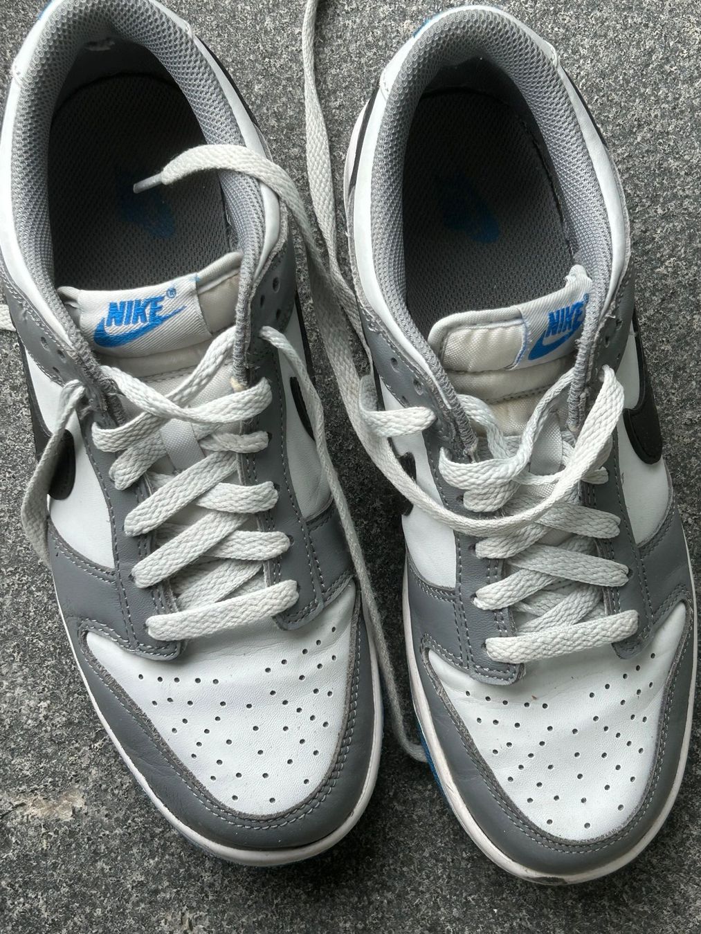 Nike Scarpe da uomo: Nike Dunk Low – Usato da Pratteln venduto da Miki_