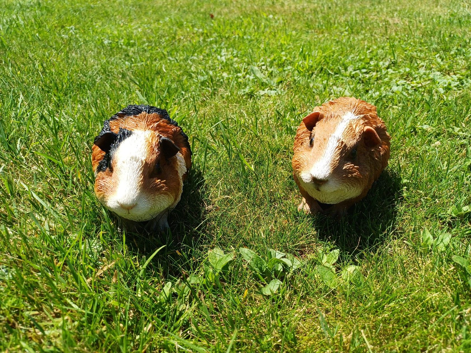 Statuette: 2er Set Meerschweinchen Figuren  – Usato da Aarwangen venduto da chr_tdh2 5