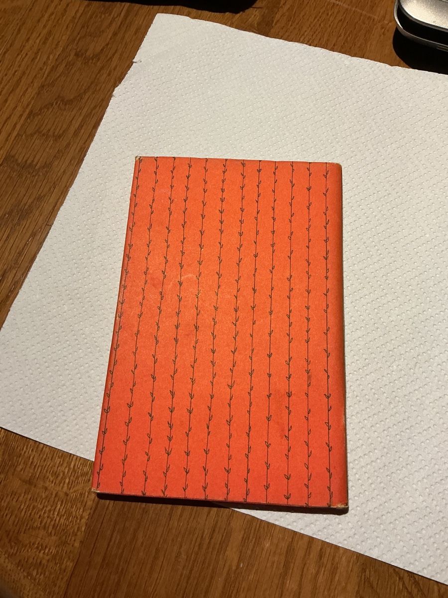 Libri: Livre anglais Joan Walsh Anglund – Usato da satigny venduto da cara68 1