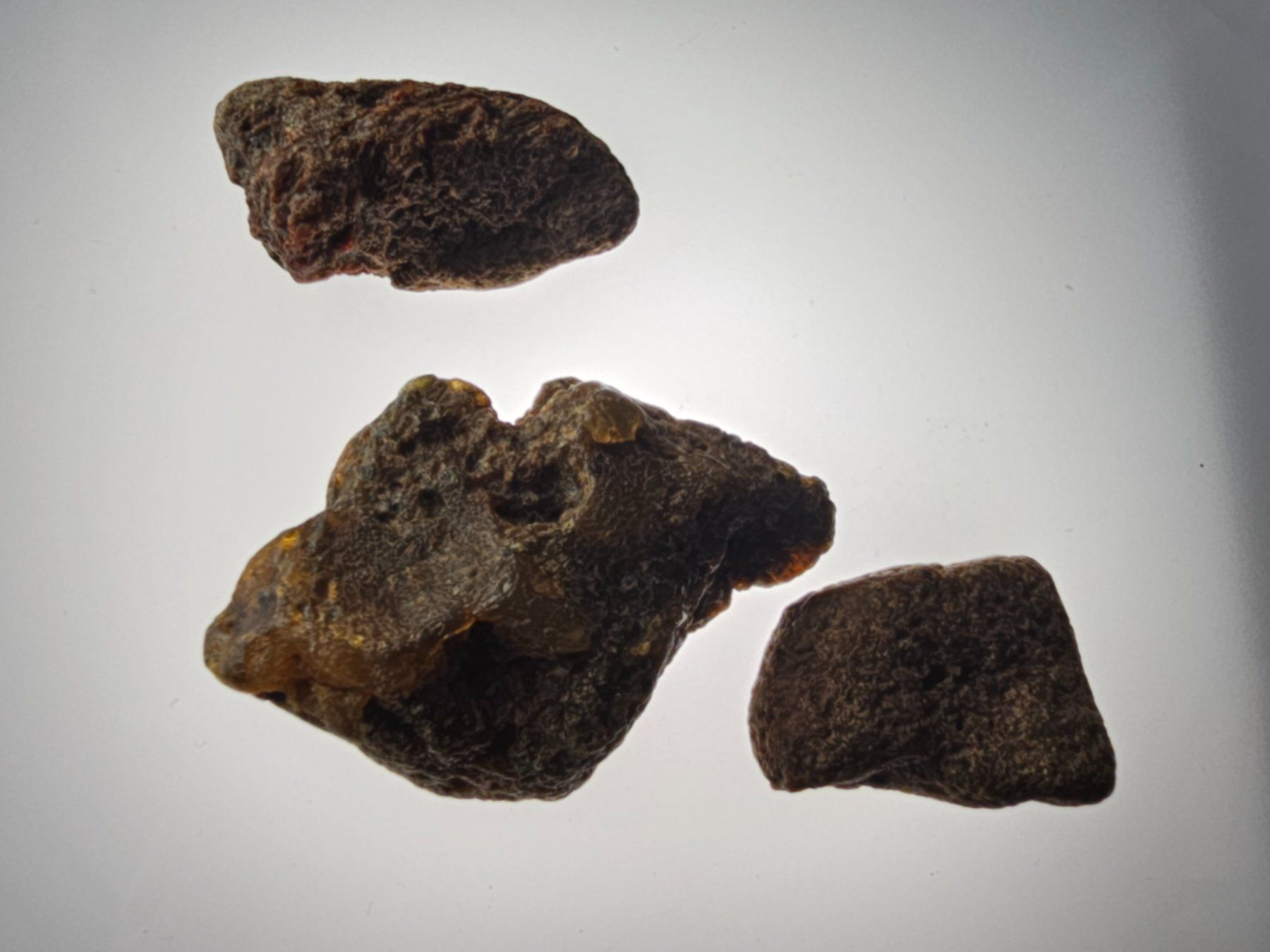 Minerali & Pietre curative: 11gr Rohbernstein echt Roh Bernstein baltisch selten raw – Nuovo (secondo la descrizione) da Riedt b. Erlen venduto da Gottestraene 7