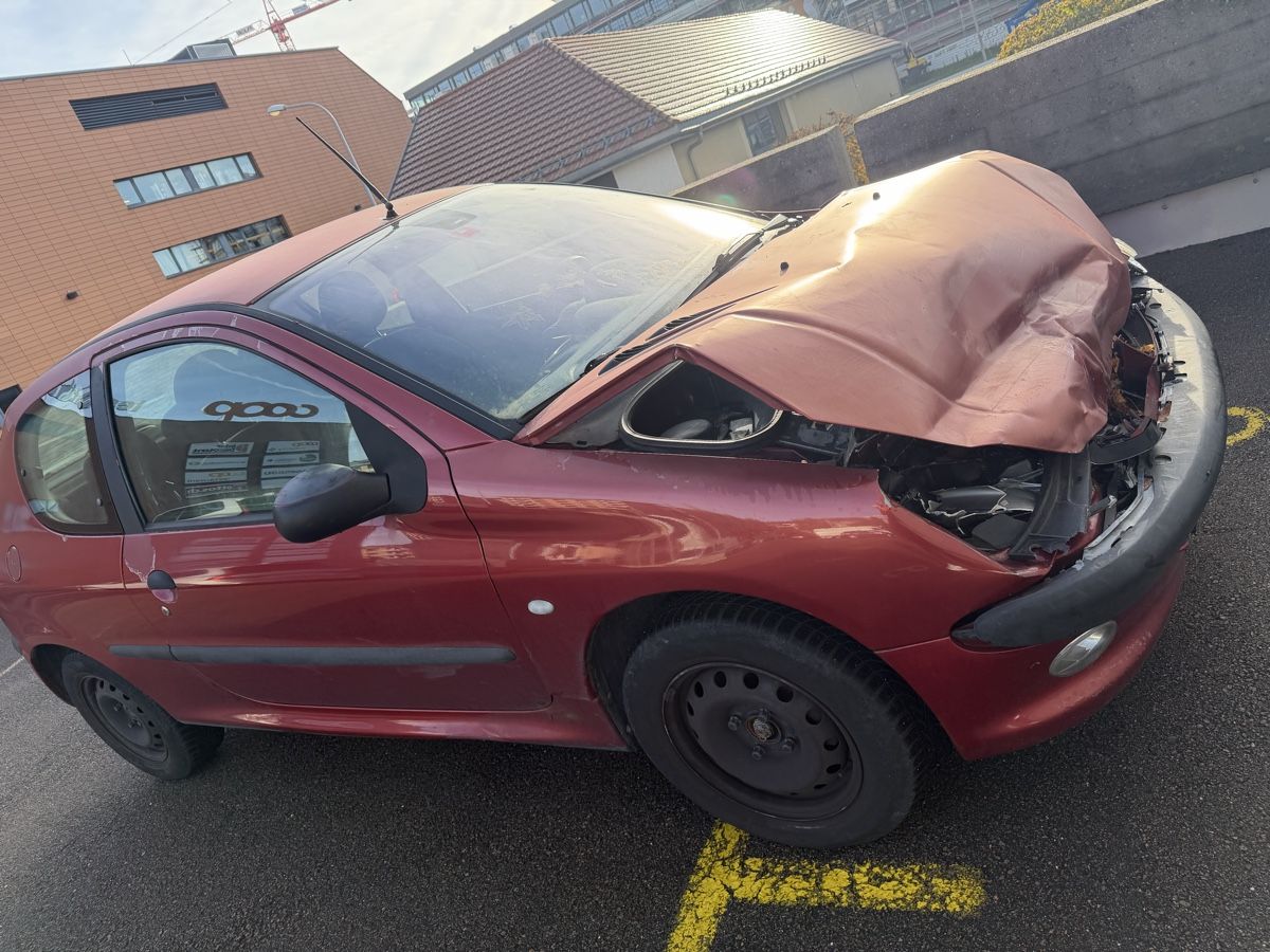 Peugeot Automobili: Peugeot 206 – Difettoso da La Chaux-de-Fonds venduto da Transportchezmax 1