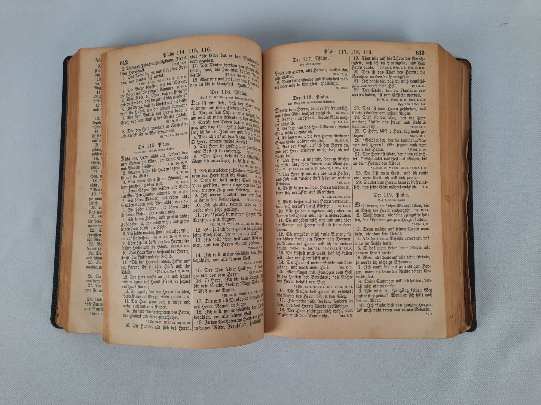 Libri: Die Bibel von 1878 – Usato da Beinwil am See venduto da Restwert_Beinwil 4