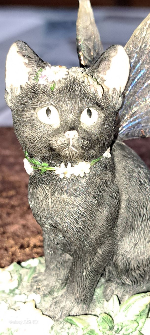 Statuette: Keramik Katze mit Flügeln – Usato da Plagne venduto da Reticulum01 8