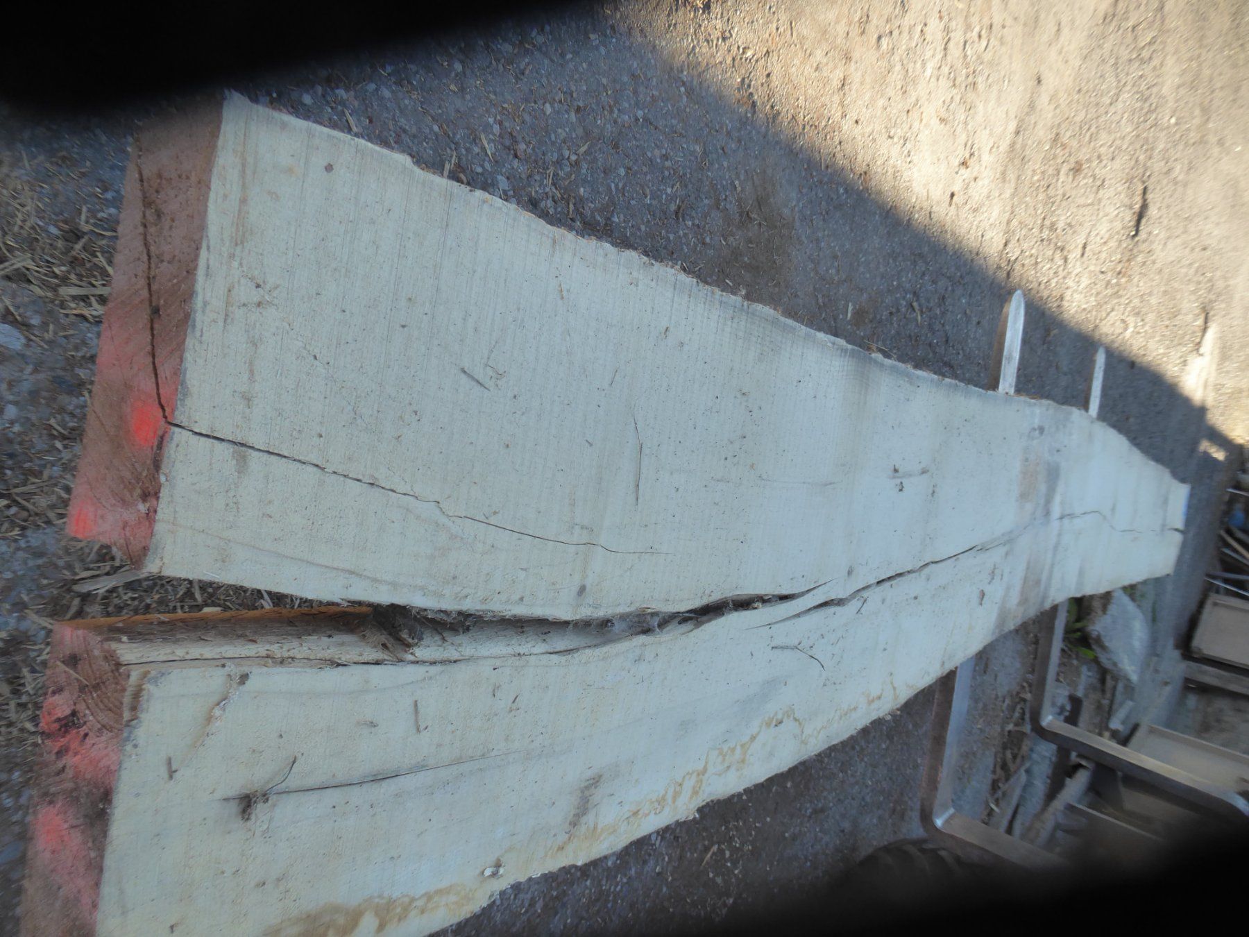 Articoli in legno: Eschenbrett 8 cm – Nuovo (secondo la descrizione) da Sumiswald venduto da Hennri1 2