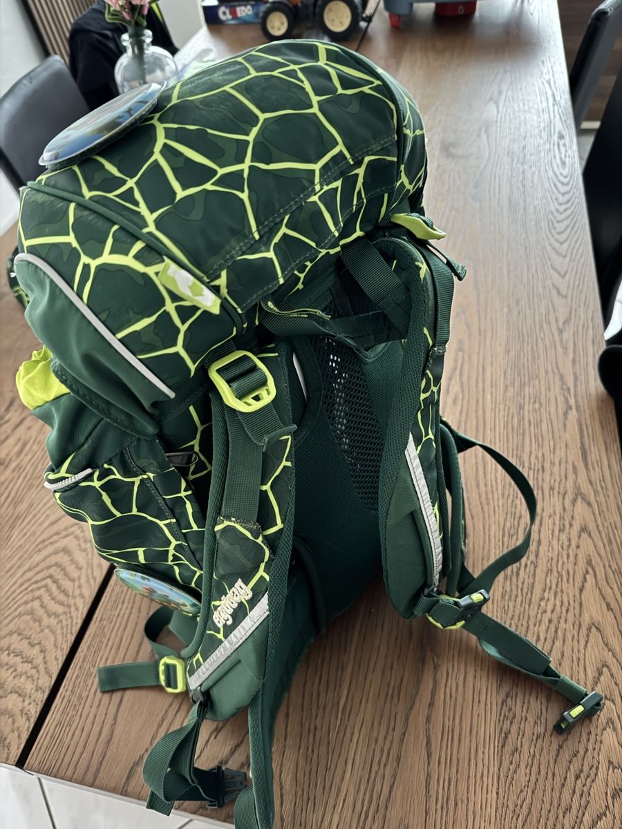 Ergobag Borse & Zaini: Ergobag Schulthek – Usato da Wallenwil venduto da Mutternehmerin 2