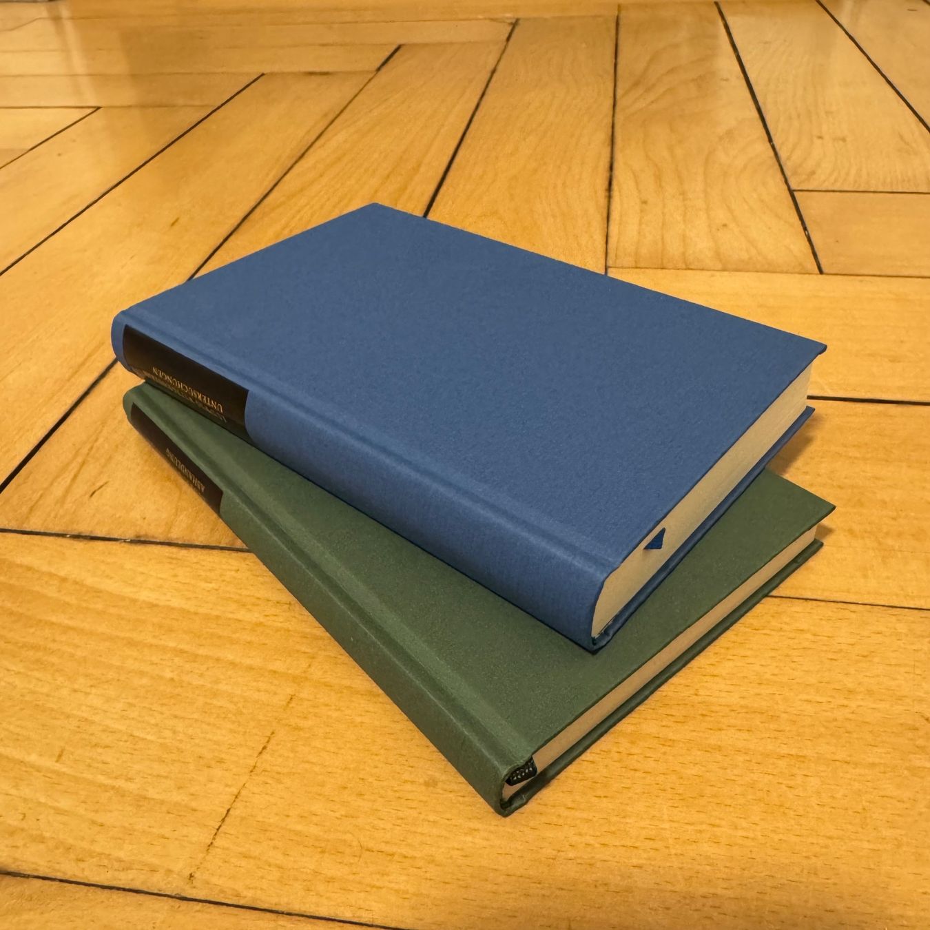Libri: Wittgenstein: Tractatus & Untersuchungen – Usato da Luzern venduto da philippbrl 3