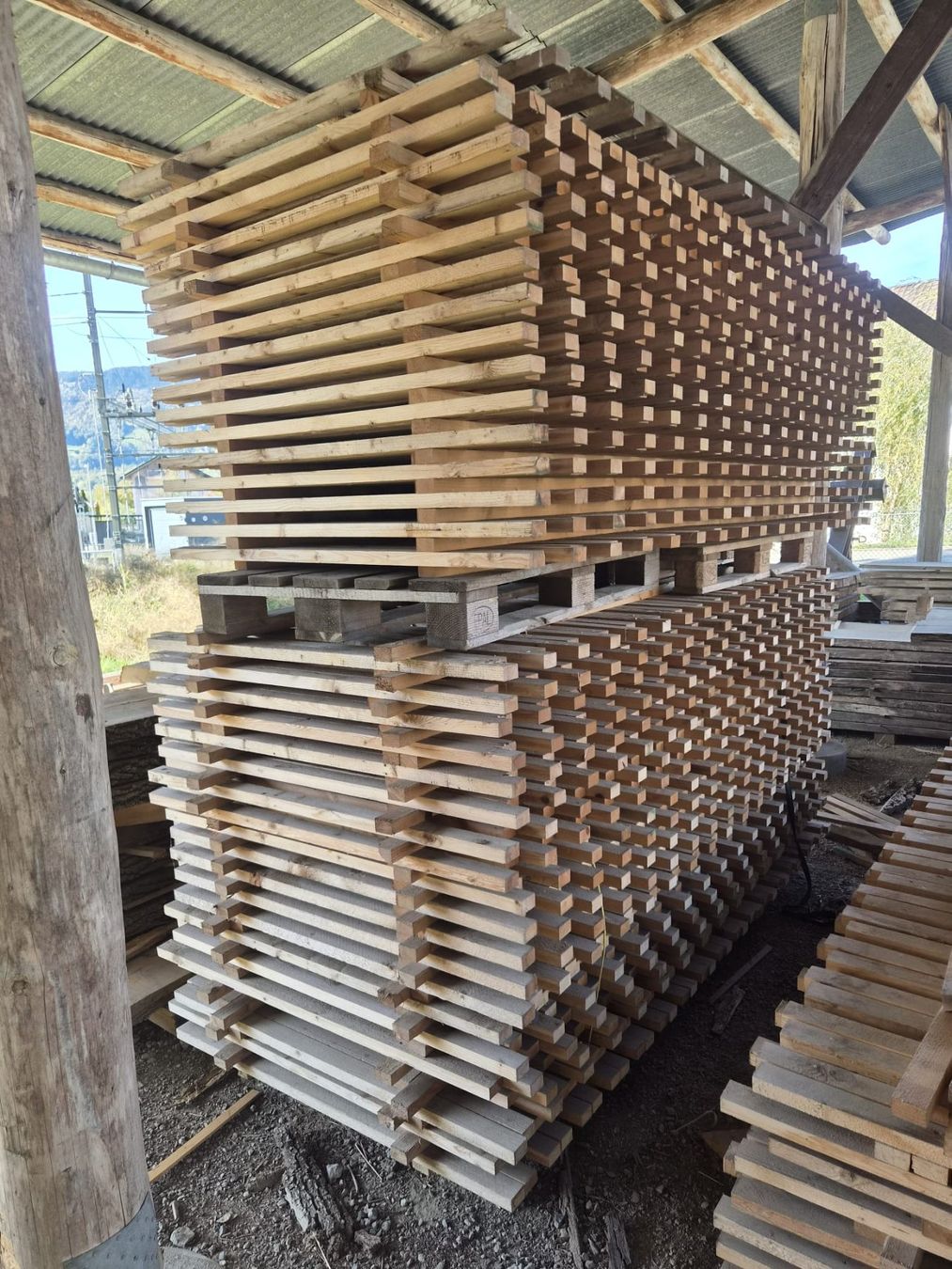 Fendivista: Holz-Zaun – Nuovo (secondo la descrizione) da Giswil venduto da dom_dw22 1