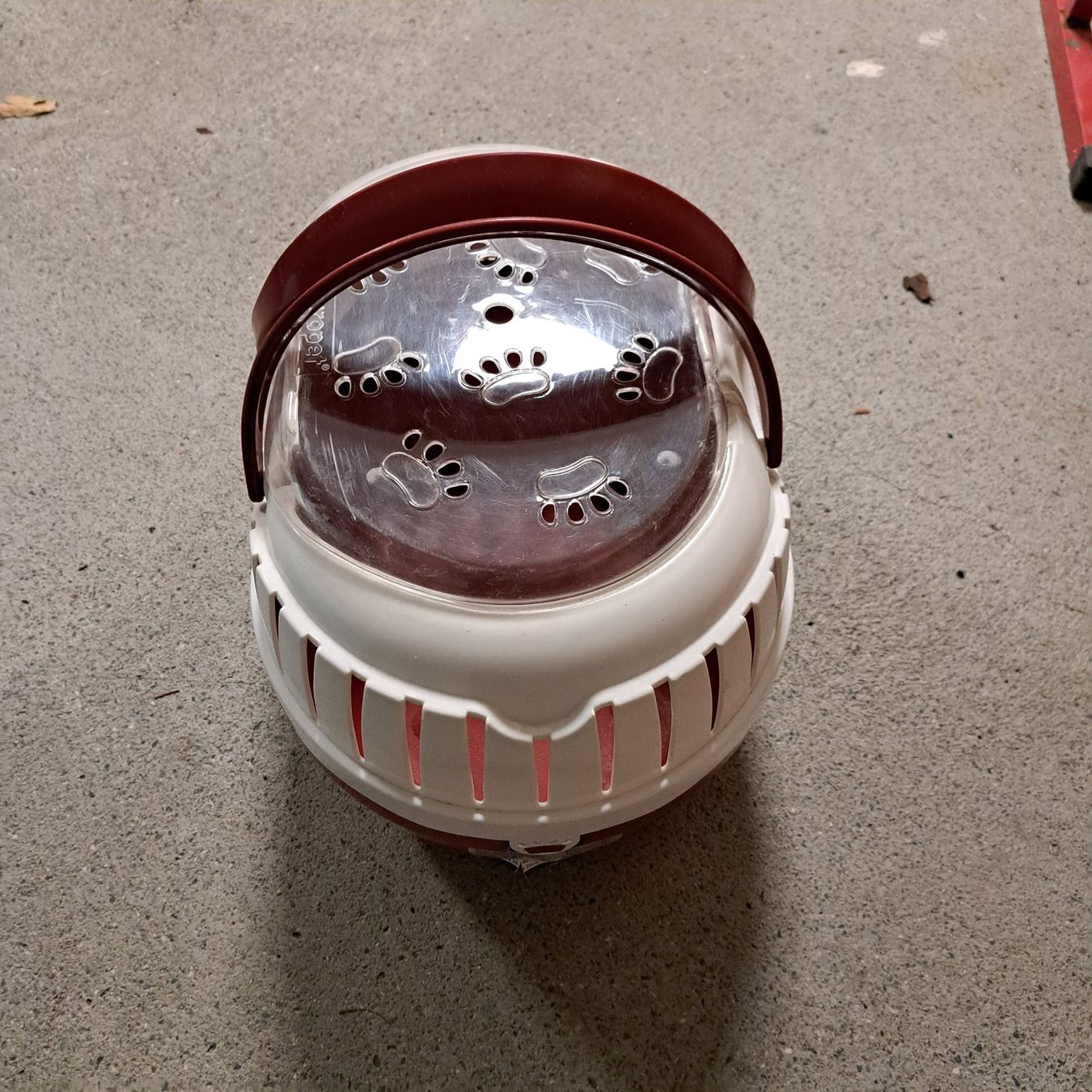 Gabbie, trasporto & Sicurezza: Kleintriertransportbox – Usato da Egg venduto da aluger69