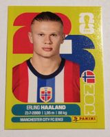 Erling Haaland - NOR 15