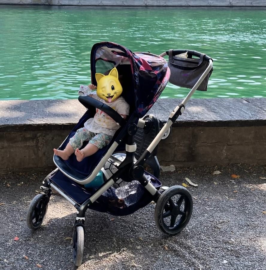 Bugaboo Carrozzine: Bugaboo Fox (1 gen) + accessories – Usato da Thalwil venduto da art_kor 3