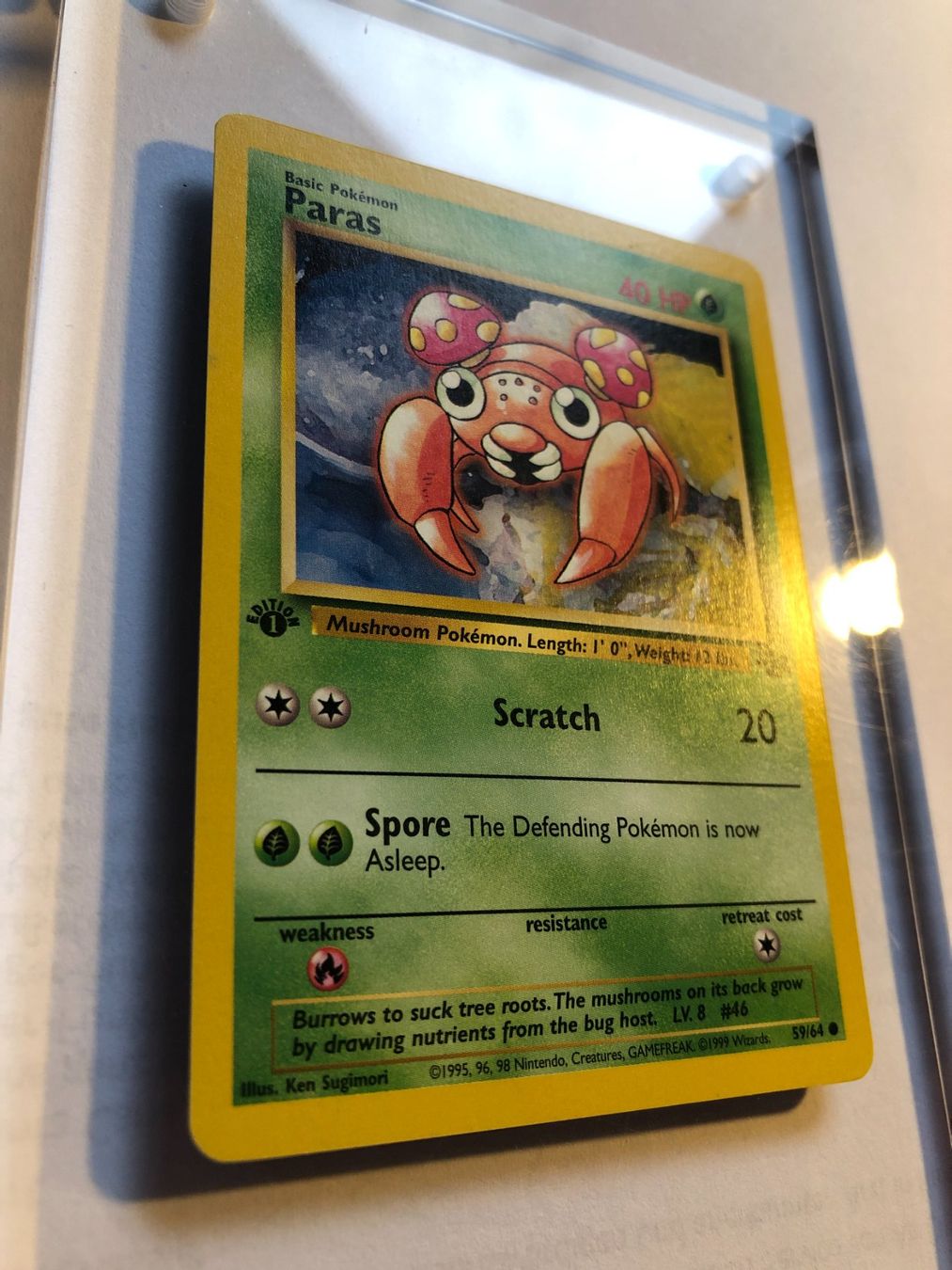 Carte collezionabili: Paras 1st Jungle - MINT - ab 1.- – Usato da Giubiasco venduto da dan_pr8b 1