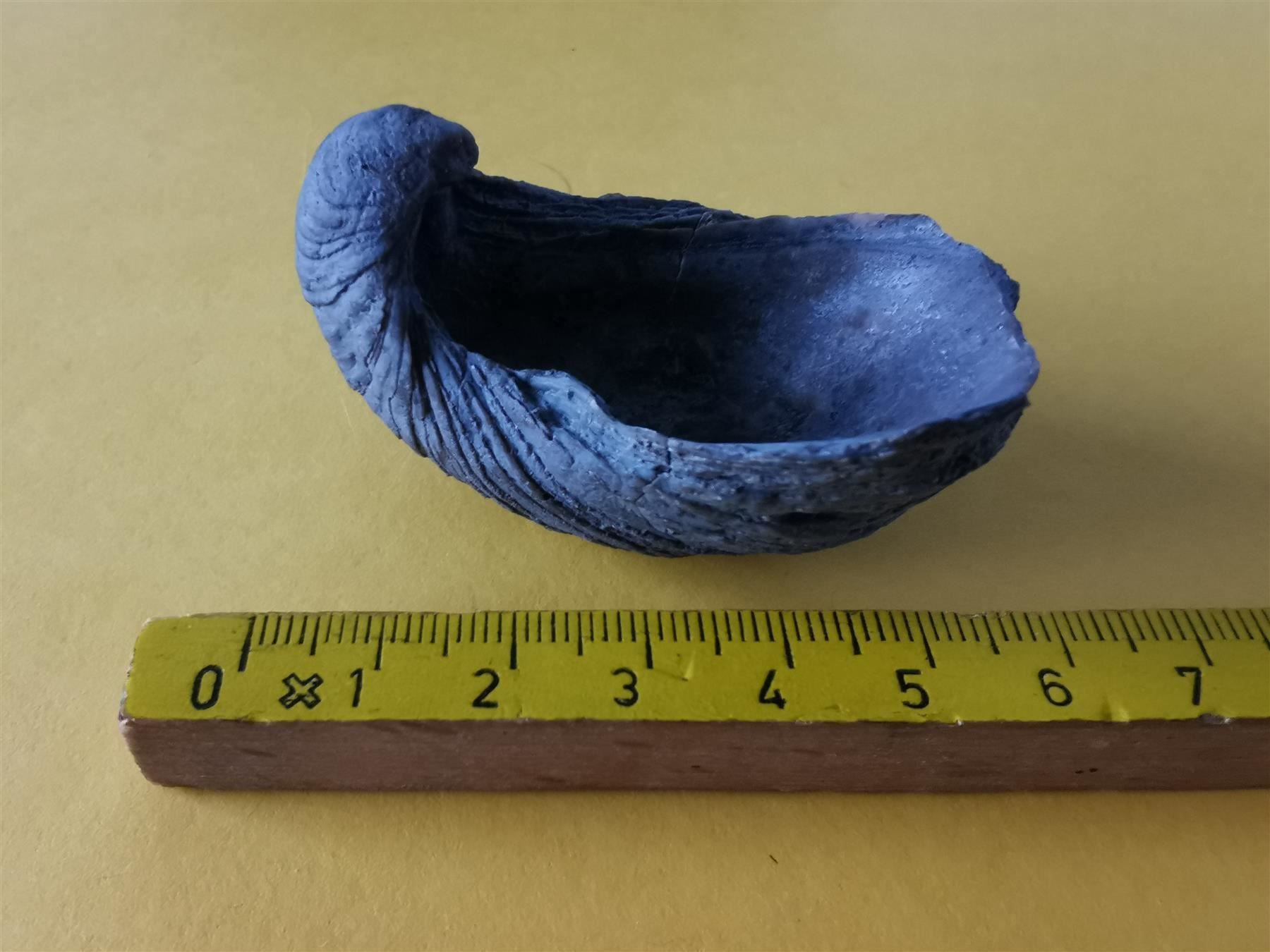 Fossili: Gryphaea arcuata als Geschenk – Usato da Olten venduto da smiples 1