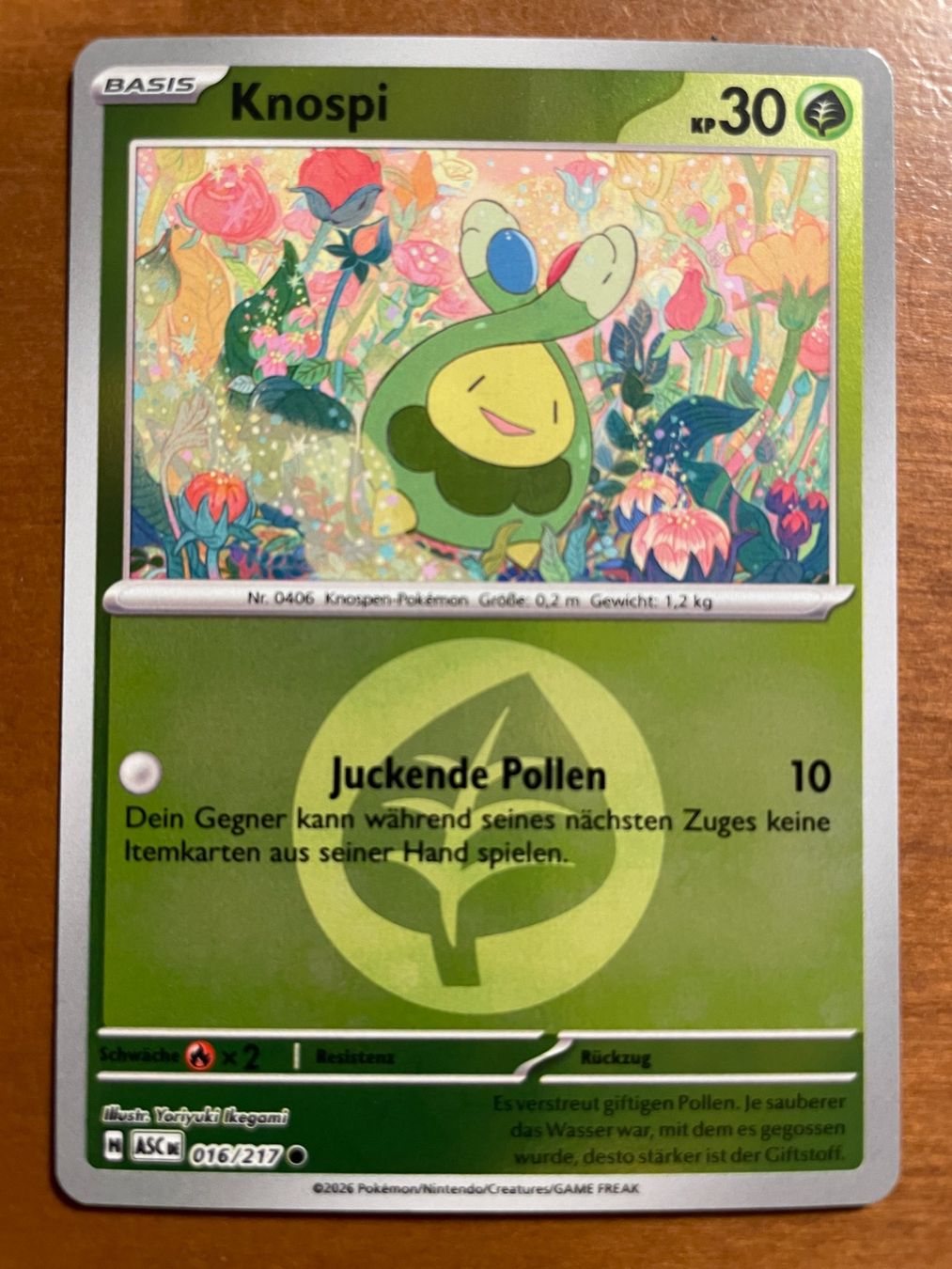 Pokémon Carte collezionabili: Pokemon Knospi Reverse (Versand gratis) – Nuovo (secondo la descrizione) da Chur venduto da Angerson