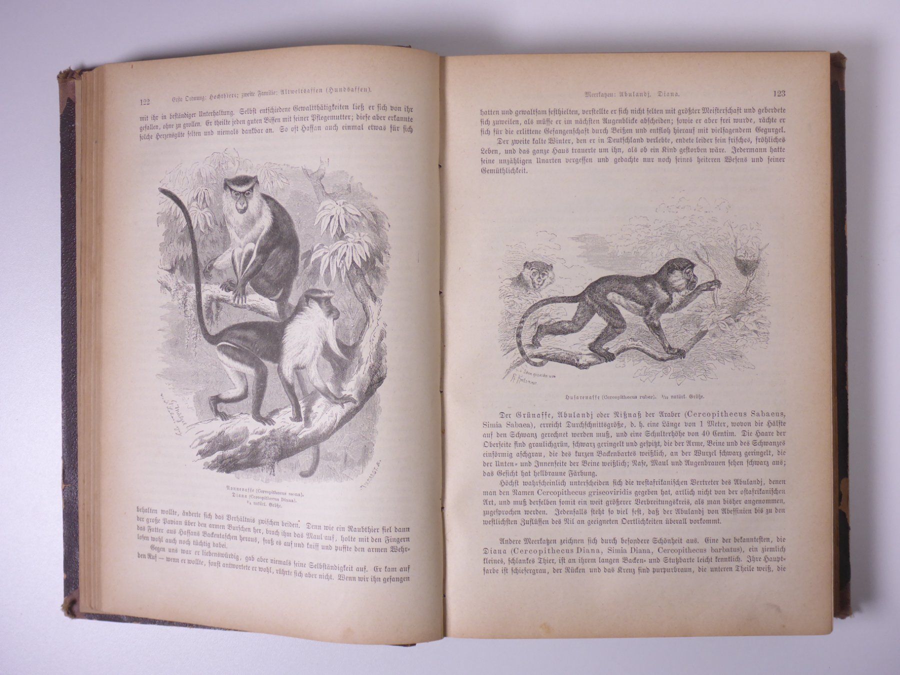 Libri: Brehms Thierleben (Tierleben) 3 Bände. – Usato da Erschwil venduto da taglang 2