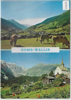 Goms - Biel/Ernen