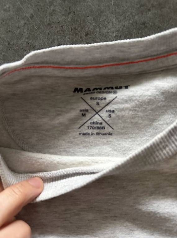 Maglioni & Felpe: Mammut Pullover Grau – Usato da Uetikon am See venduto da randag88 1