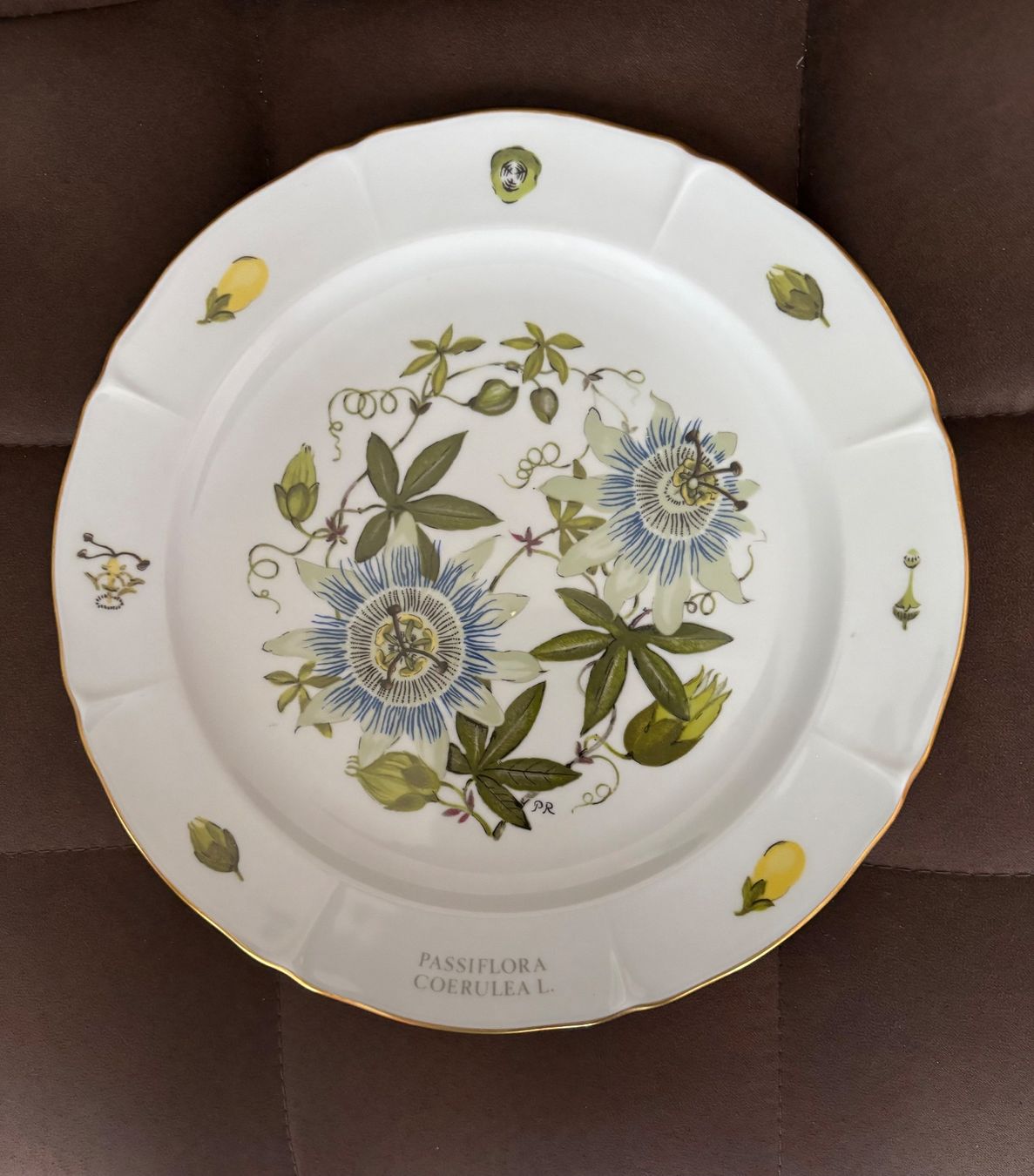 Siegfried Teller: Assiette Langenthal porcelain Botanique Siegfried collection – Gebraucht aus Crans  Montana von proff