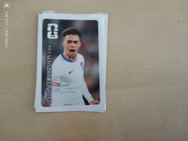 Antonee Robinson- Coca Cola - CC 12 Sticker WM 26