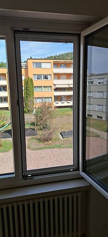 Finestre: Insektenfenster – Usato da Bubikon venduto da Mis_nl7l 1