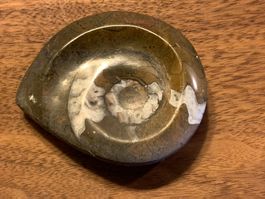 Schöner Ammonit, SCHNECKE, ca. 90 Millionen Jahre alt!