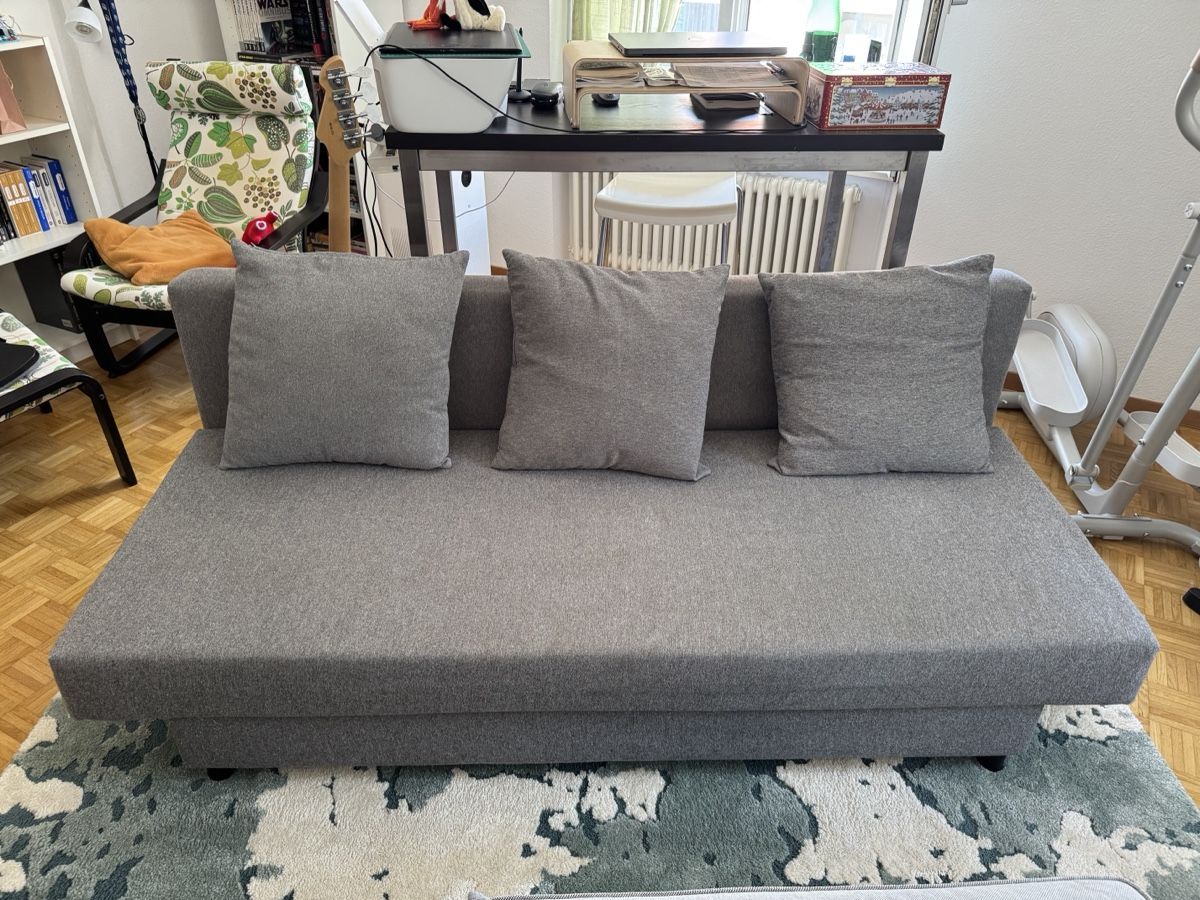 Sofas: IKEA Asarum Bettsofa grau – D'occasion à Zürich par PZerggie