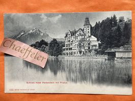 1906 Schloss Hotel Hertenstein mit Pilatus 