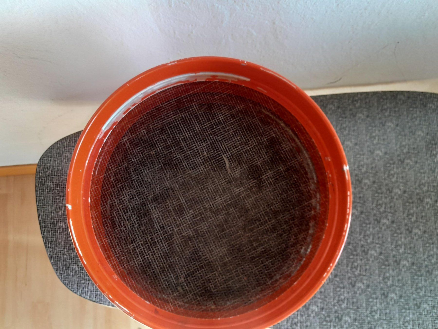 Sigg Appareils de cuisine: Sigg Dörrex / Dörrautomat mit 4 Sieben – D'occasion à Männedorf par Bel-view 3