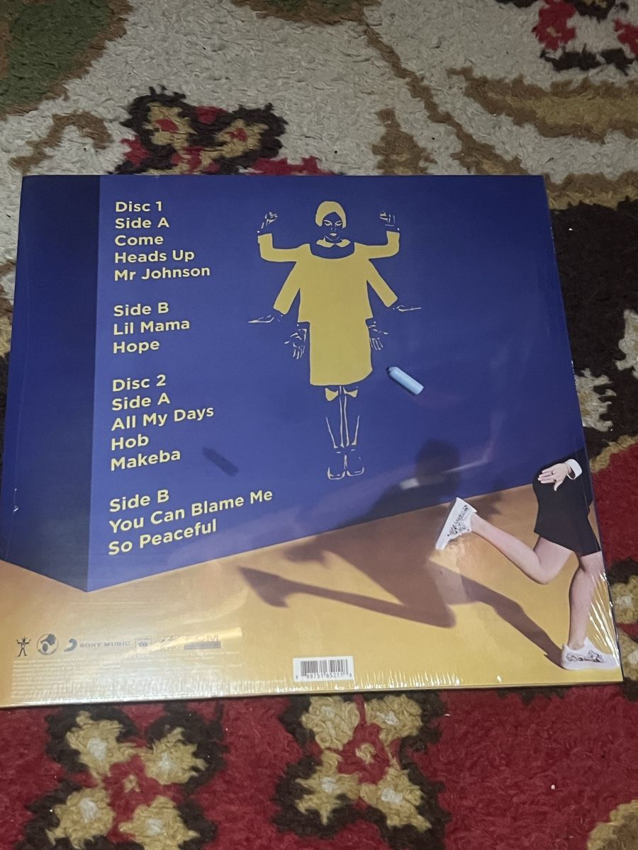 Dischi in vinile: Vinyle Jain zanaka neuf scellé – Nuovo e nell'imballaggio originale da Matran venduto da Shiryududragon 1