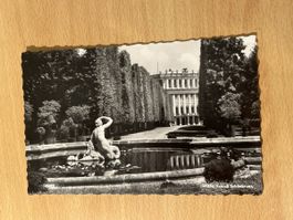 Vintage Wien Ansichtskarte Schloss Schönbrunn, Top Zustand