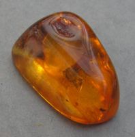 ♥ BALTISCHER BERNSTEIN / 21 mm Spinnennetz / HEILSTEIN ♥