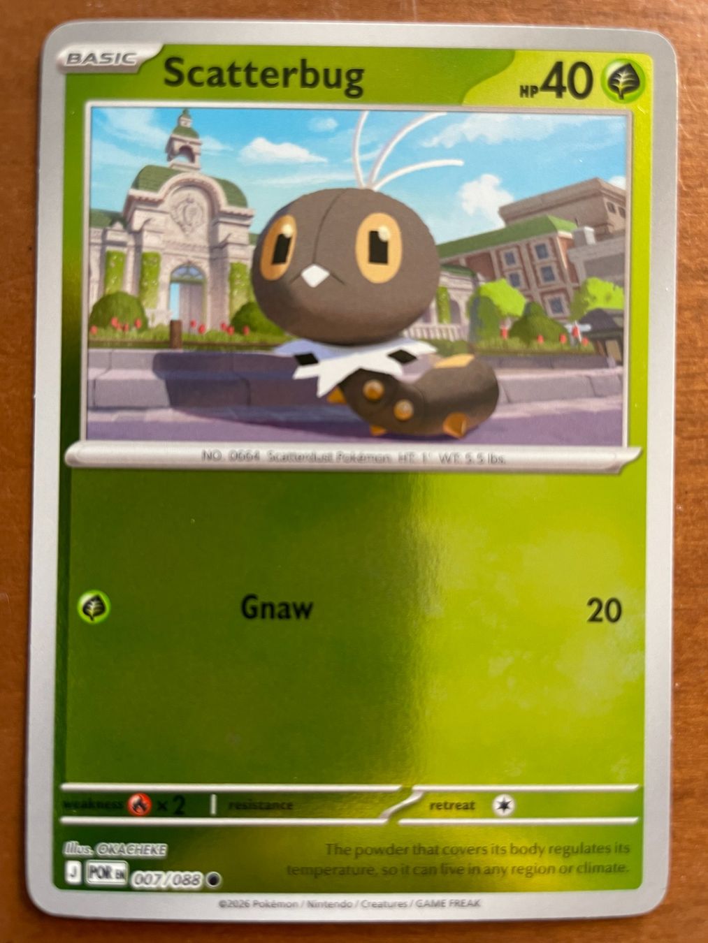 Pokémon Carte collezionabili: Pokemon Scatterbug Reverse (Versand gratis) – Nuovo (secondo la descrizione) da Chur venduto da Angerson