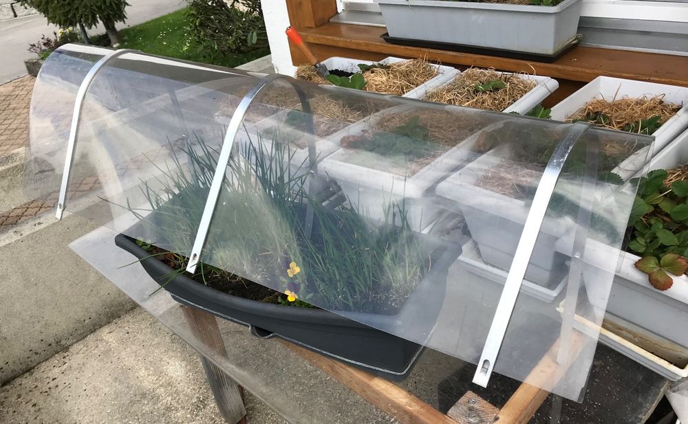 Regenschutz für Balkonkästen zum Einstecken Plexiglas 100 cm Acheter