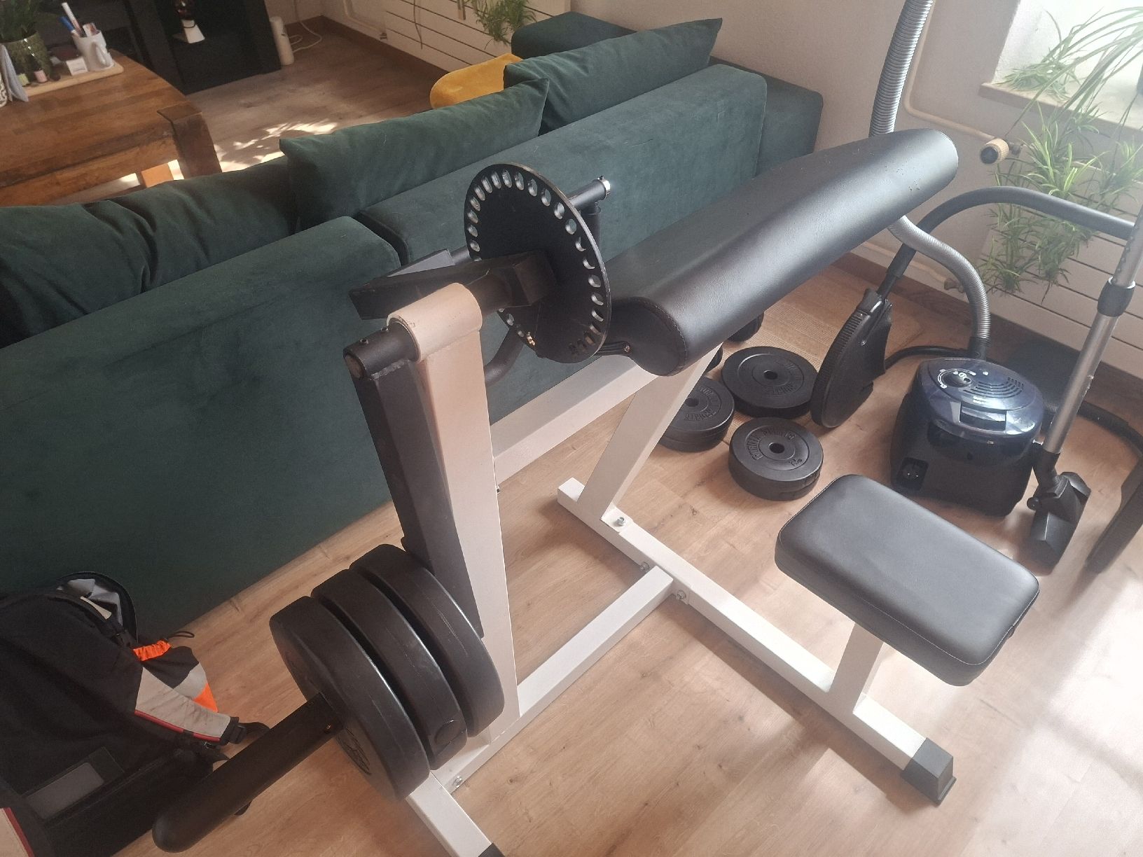 Hometrainer: bizeps curl maschine – Usato da Teufen AR venduto da mar_jt67 1