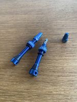 Cushcore Tubelessventile (Versand inkl.)