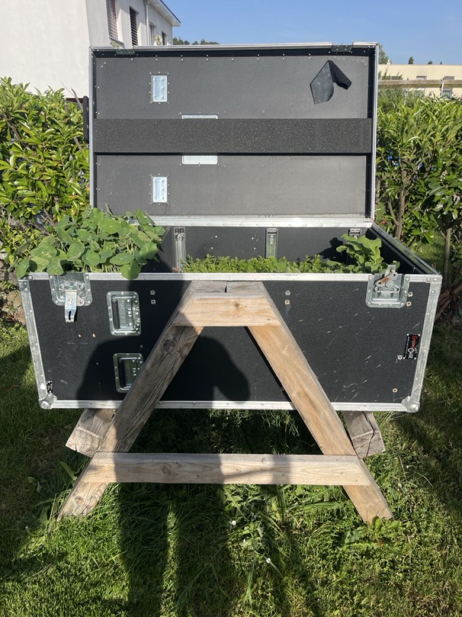 Vasi per fiori: Hochbeet selbst gebaut  – Usato da Rickenbach LU venduto da Haefliger03 3