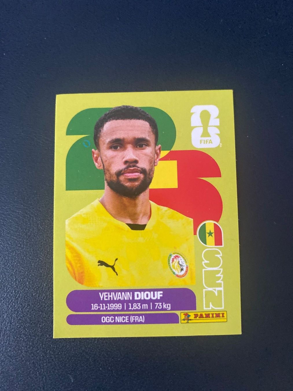 Panini Carte collezionabili: Panini FIFA World Cup Sticker SEN 3 – Nuovo (secondo la descrizione) da Glattbrugg venduto da riseca