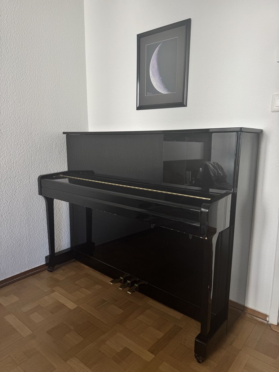 Strumenti musicali: Piano – Usato da Genève venduto da Artgatito