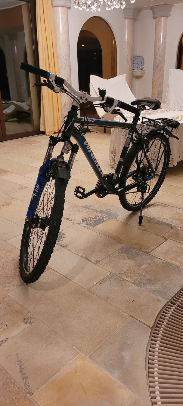 Wheeler Vélos: Velo Wheeler Pro 30 – D'occasion à Appenzell Meister. par Morize98 4